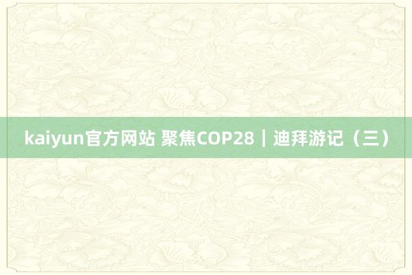 kaiyun官方网站 聚焦COP28｜迪拜游记（三）