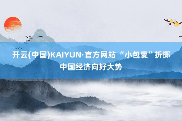 开云(中国)KAIYUN·官方网站 “小包裹”折掷中国经济向好大势