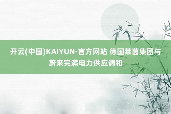 开云(中国)KAIYUN·官方网站 德国莱茵集团与蔚来完满电力供应调和