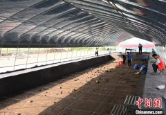 kaiyun中国官方网站 湖北考古新发现 填补江汉地区旧—新石器过渡阶段空缺