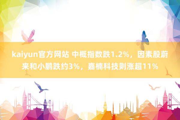kaiyun官方网站 中概指数跌1.2%，因素股蔚来和小鹏跌约3%，嘉楠科技则涨超11%