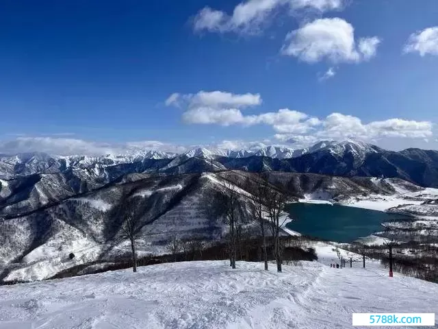 中国旅客在日滑雪颠仆吸入粉雪窒息身一火！“粉雪”到底是什么？