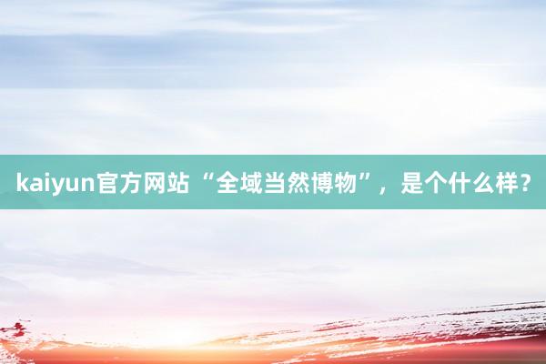 kaiyun官方网站 “全域当然博物”，是个什么样？