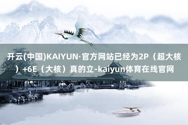 开云(中国)KAIYUN·官方网站已经为2P（超大核）+6E（大核）真的立-kaiyun体育在线官网