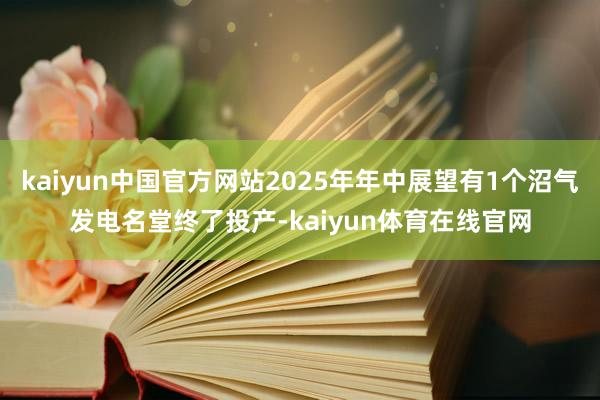 kaiyun中国官方网站2025年年中展望有1个沼气发电名堂终了投产-kaiyun体育在线官网