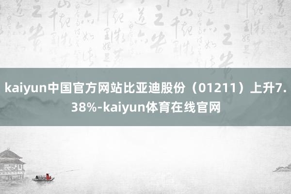 kaiyun中国官方网站比亚迪股份（01211）上升7.38%-kaiyun体育在线官网