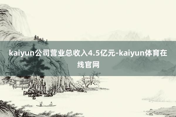 kaiyun公司营业总收入4.5亿元-kaiyun体育在线官网