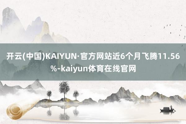 开云(中国)KAIYUN·官方网站近6个月飞腾11.56%-kaiyun体育在线官网