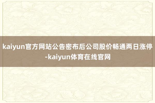 kaiyun官方网站公告密布后公司股价畅通两日涨停-kaiyun体育在线官网