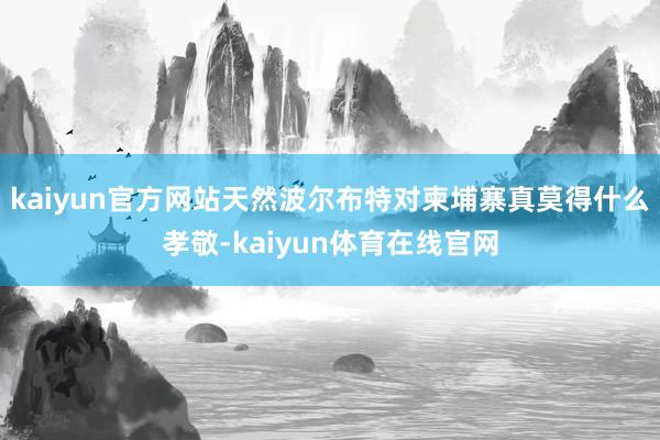 kaiyun官方网站天然波尔布特对柬埔寨真莫得什么孝敬-kaiyun体育在线官网