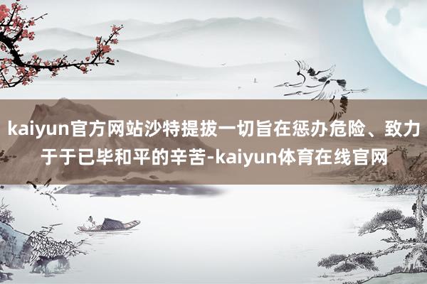 kaiyun官方网站沙特提拔一切旨在惩办危险、致力于于已毕和平的辛苦-kaiyun体育在线官网