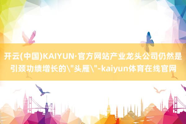 开云(中国)KAIYUN·官方网站产业龙头公司仍然是引颈功绩增长的＂头雁＂-kaiyun体育在线官网