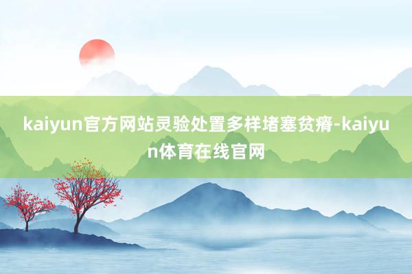 kaiyun官方网站灵验处置多样堵塞贫瘠-kaiyun体育在线官网