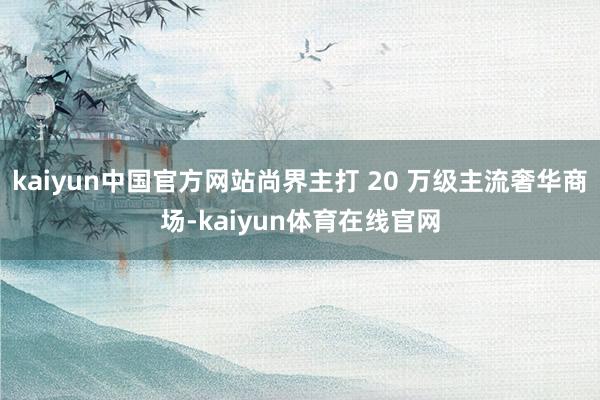 kaiyun中国官方网站尚界主打 20 万级主流奢华商场-kaiyun体育在线官网