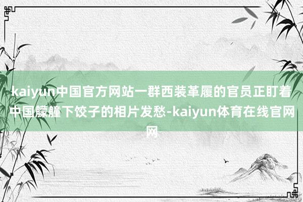 kaiyun中国官方网站一群西装革履的官员正盯着中国艨艟下饺子的相片发愁-kaiyun体育在线官网