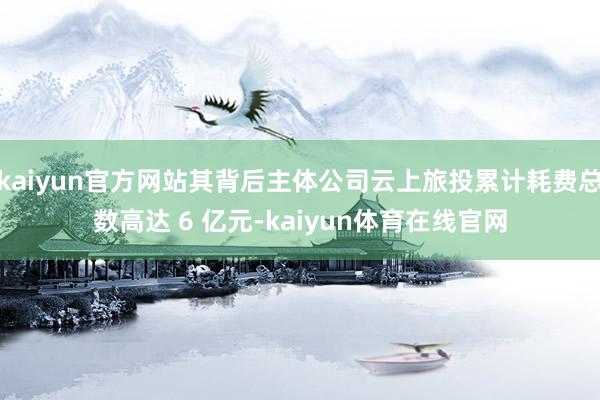 kaiyun官方网站其背后主体公司云上旅投累计耗费总数高达 6 亿元-kaiyun体育在线官网