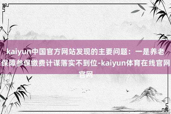 kaiyun中国官方网站发现的主要问题：一是养老保障参保缴费计谋落实不到位-kaiyun体育在线官网