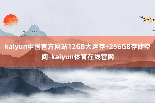 kaiyun中国官方网站12GB大运存+256GB存储空间-kaiyun体育在线官网